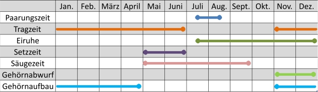 Liniendiagramm der Aktivitäten des Rehwilds im Jahresverlauf