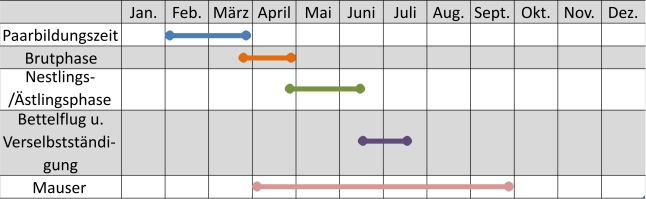 Liniendiagramm der Aktivitäten des Wanderfalken im Jahresverlauf