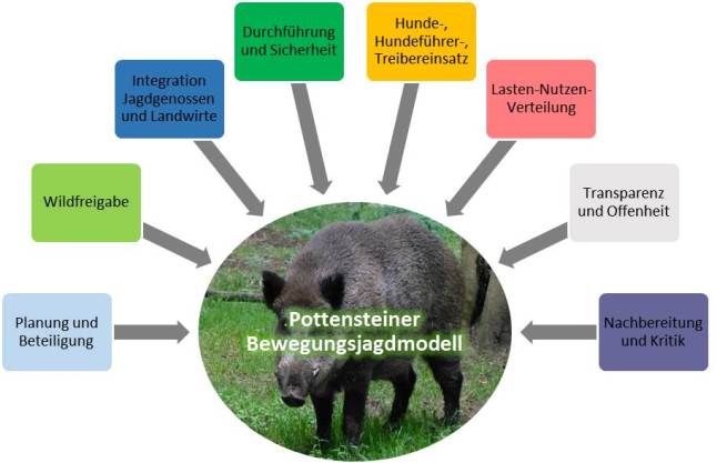 Abbildung zum Bewegungsjagdmodell Pottenstein. 