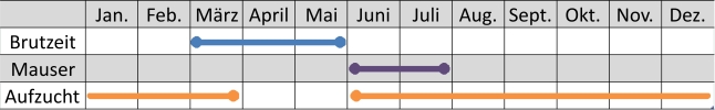 Liniendiagramm der Aktivitäten der Nilsgans im Jahresverlauf