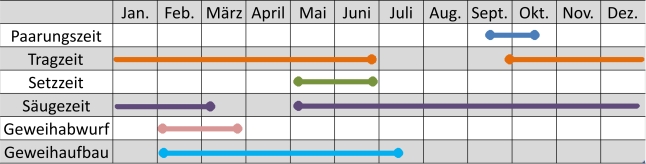 Liniendiagramm der Aktivitäten des Rotwilds im Jahresverlauf
