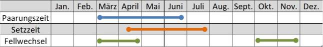 Liniendiagramm der Aktivitäten des Schneehasens im Jahresverlauf.