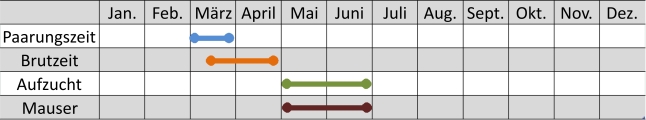 Liniendiagramm des Gänsesägers im Jahresverlauf