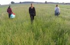 drei Menschen durchqueren zu Fuß ein Feld